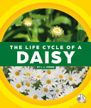 The Life Cycle of a Daisy cover