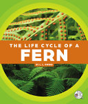 The Life Cycle of a Fern cover