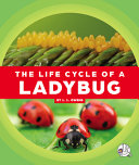 The Life Cycle of a Ladybug cover