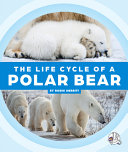 The Life Cycle of a Polar Bear cover