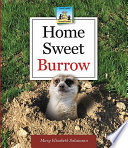 Home Sweet Burrow cover
