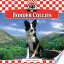 Border Collies cover