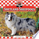 Shetland Sheepdogs cover