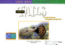 Animal Tails cover