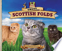 Sweet Scottish Folds cover
