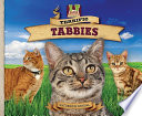 Terrific Tabbies cover