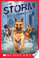 The Storm cover
