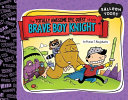 The Totally Awesome Epic Quest of the Brave Boy Knight cover