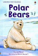 Polar Bears cover