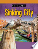 Sinking City cover