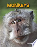 Monkeys cover