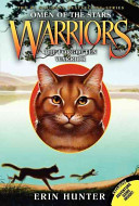 The Forgotten Warrior cover
