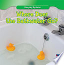 Where Does the Bathwater Go? cover