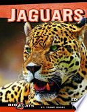 Jaguars cover