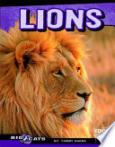 Lions cover