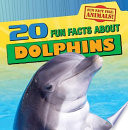 20 Fun Facts About Dolphins cover