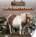 Shetland Ponies cover