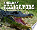 American Alligators cover