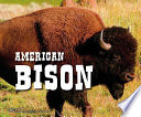 American Bison cover