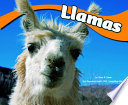Llamas cover