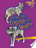 Can You Tell a Coyote from a Wolf? cover