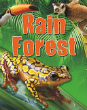 Rain Forest cover