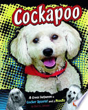 Cockapoo: A Cross Between a Cocker Spaniel and a Poodle cover