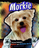 Morkie: A Cross Between a Maltese and a Yorkshire Terrier cover