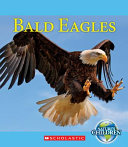 Bald Eagles cover