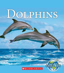 Dolphins cover