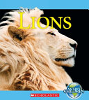 Lions cover
