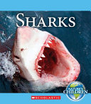 Sharks cover