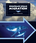 Humpback Whale Migration cover