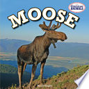 Moose cover