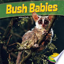 Bush Babies cover