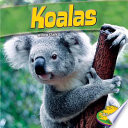 Koalas cover