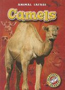 Camels cover