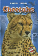 Cheetahs cover