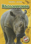 Rhinoceroses cover