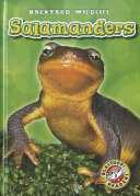 Salamanders cover