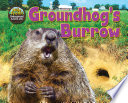 Groundhog's Burrow cover