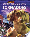 Saving Animals After Tornadoes cover