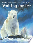 Waiting for Ice cover