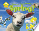 How Do You Know It's Spring? cover