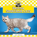 British Shorthair Cats cover