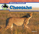 Cheetahs (African Animals) cover