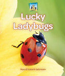 Lucky Ladybugs cover