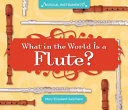 What in the World Is a Flute? cover