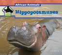 Hippopotamuses cover