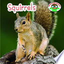 Squirrels cover